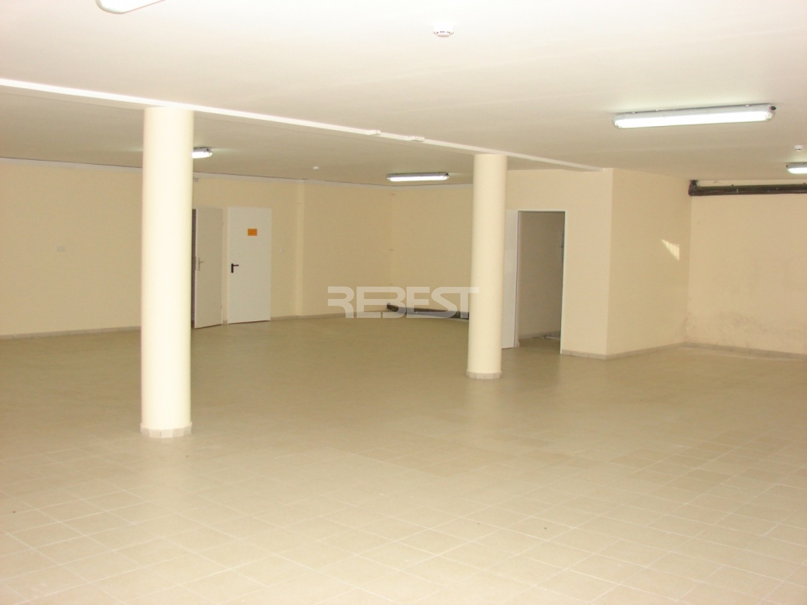 DSC03865