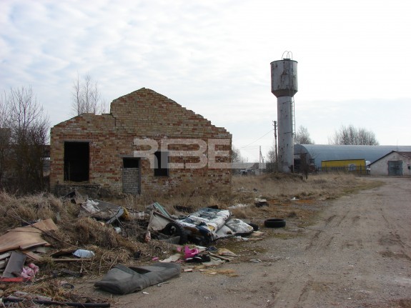 DSC06915