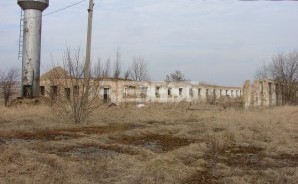 DSC06920