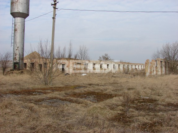 DSC06920