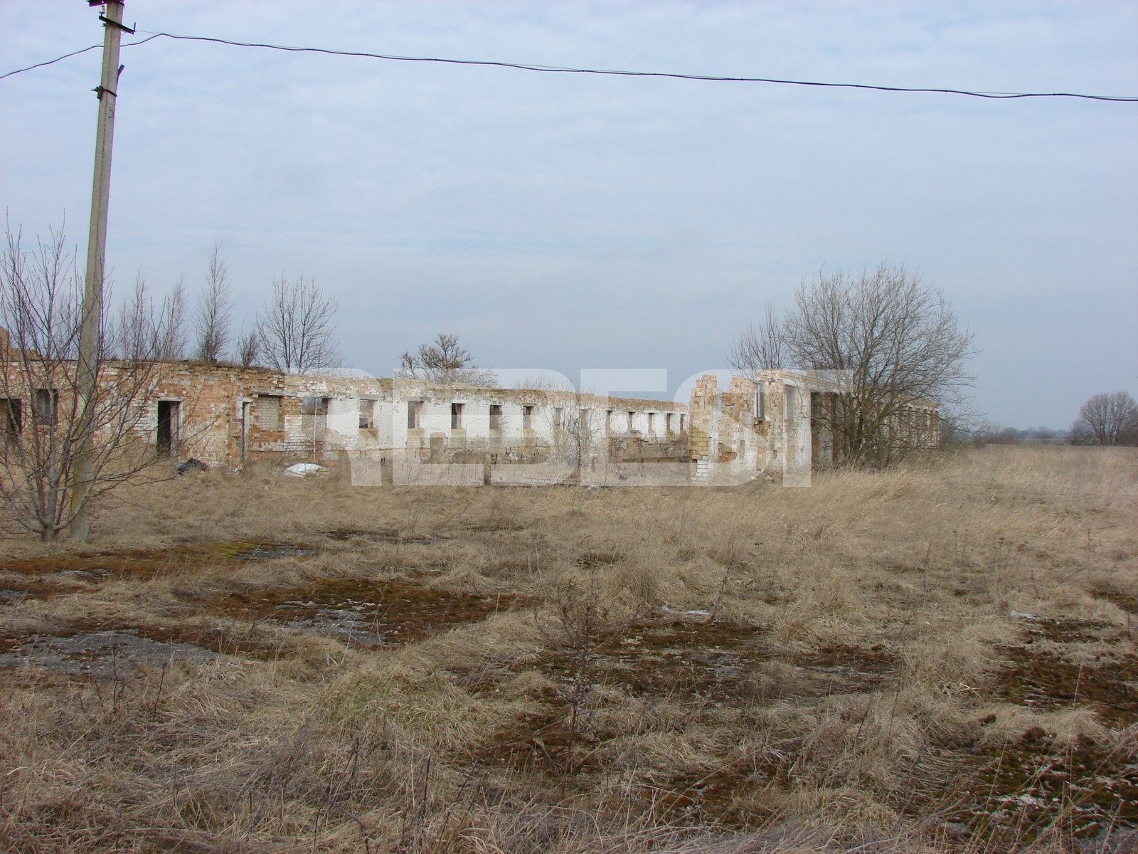 DSC06921