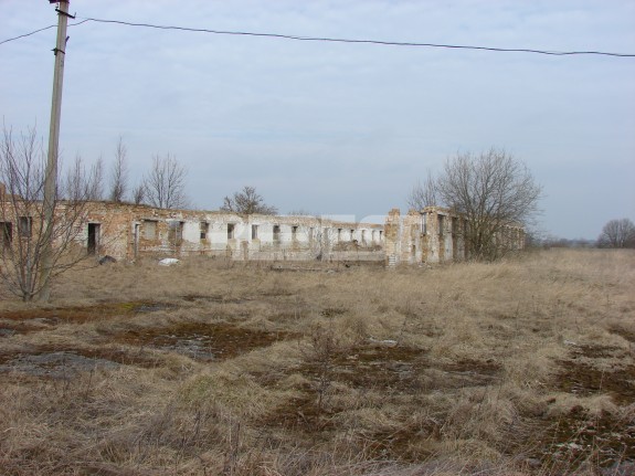 DSC06921