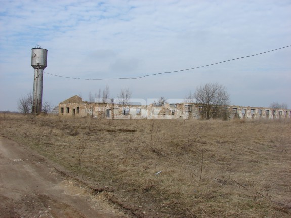 DSC06923