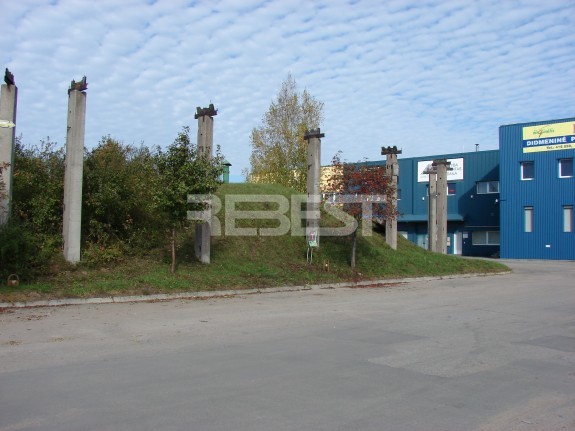 DSC05781