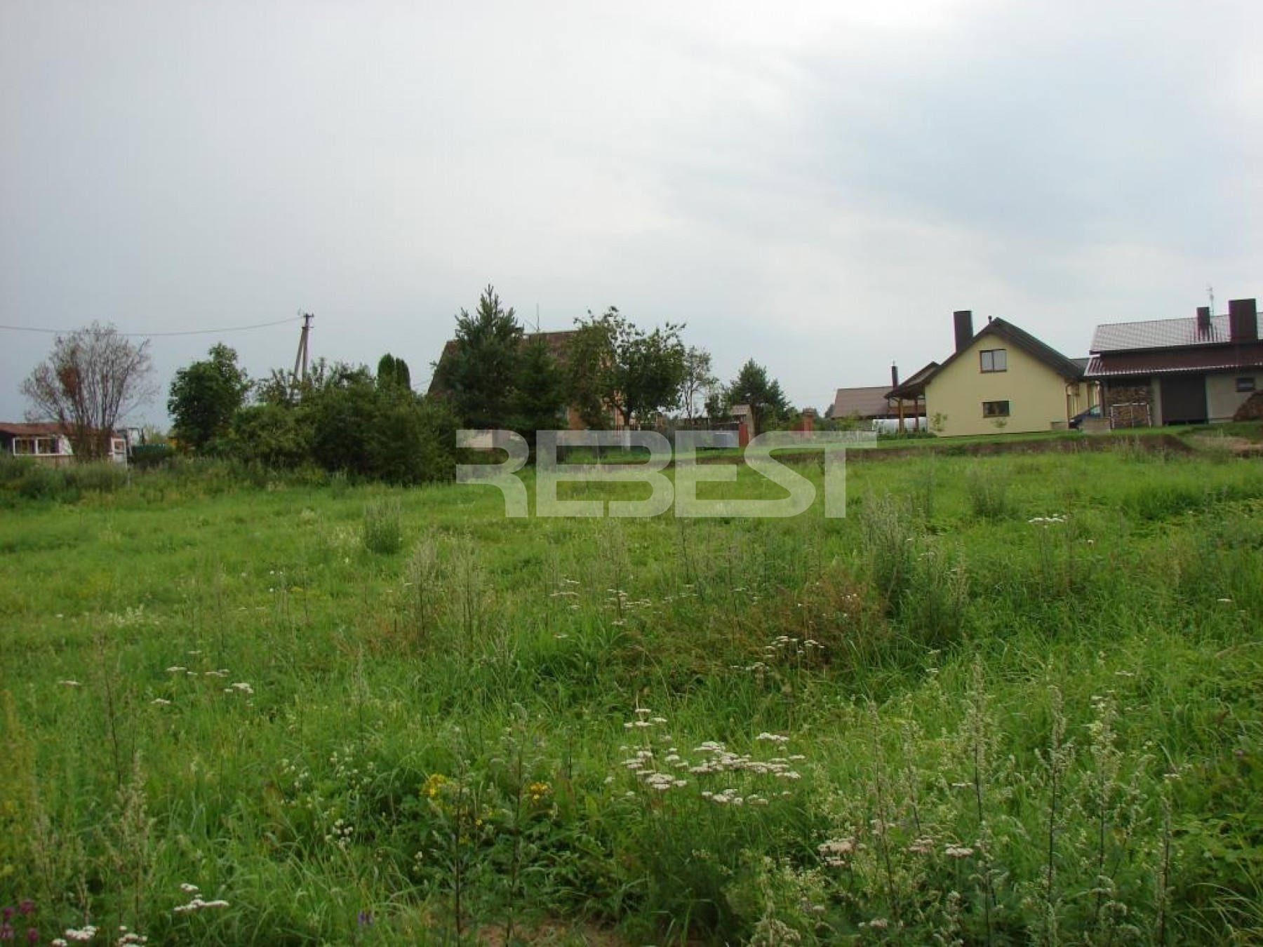 DSC00565