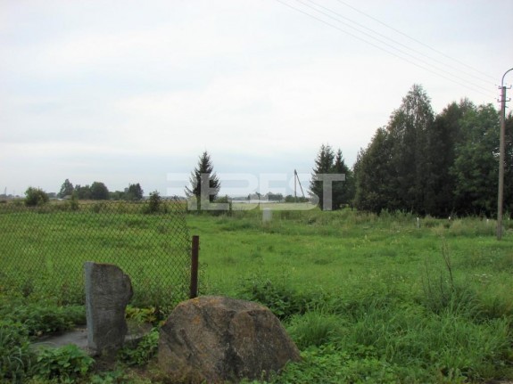 DSC00567
