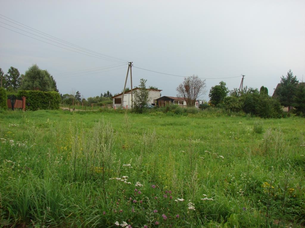 DSC00561