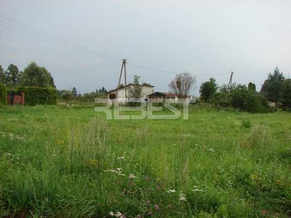 DSC00561