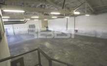 IMG_9481