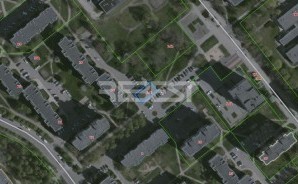 dainu_g._14Bb_