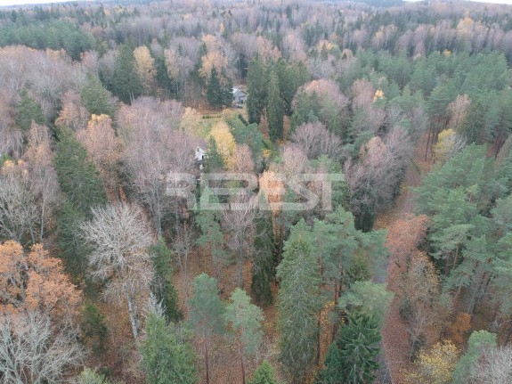 DJI_0536