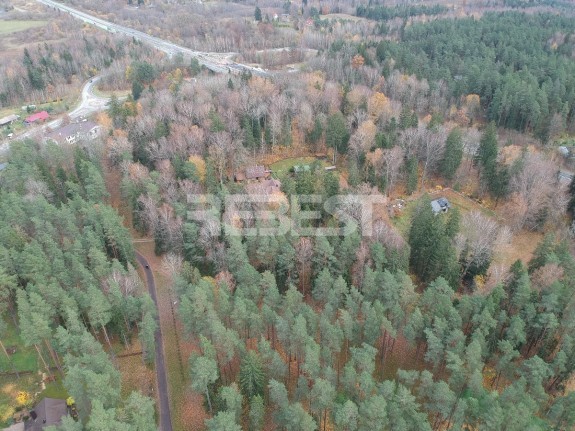 DJI_0546