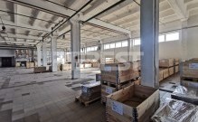 IMG_20220818_101231