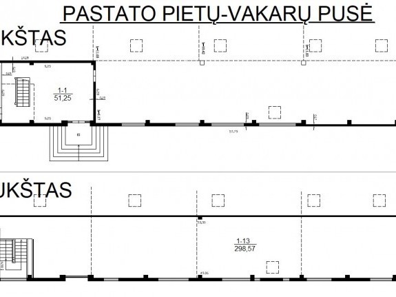 KAIRE_P._I_ir_II_AUKSTAI_