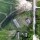 DJI_0983