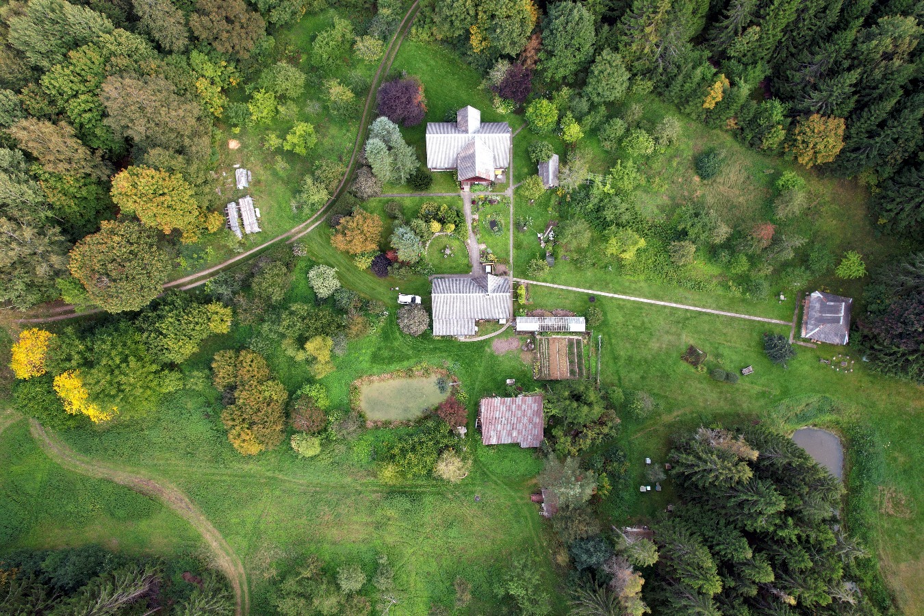 DJI_0290