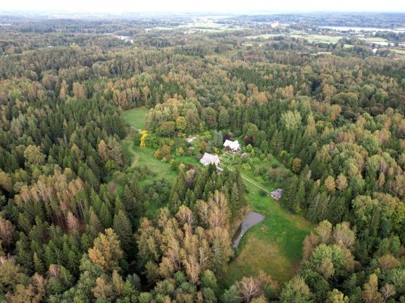 DJI_0287