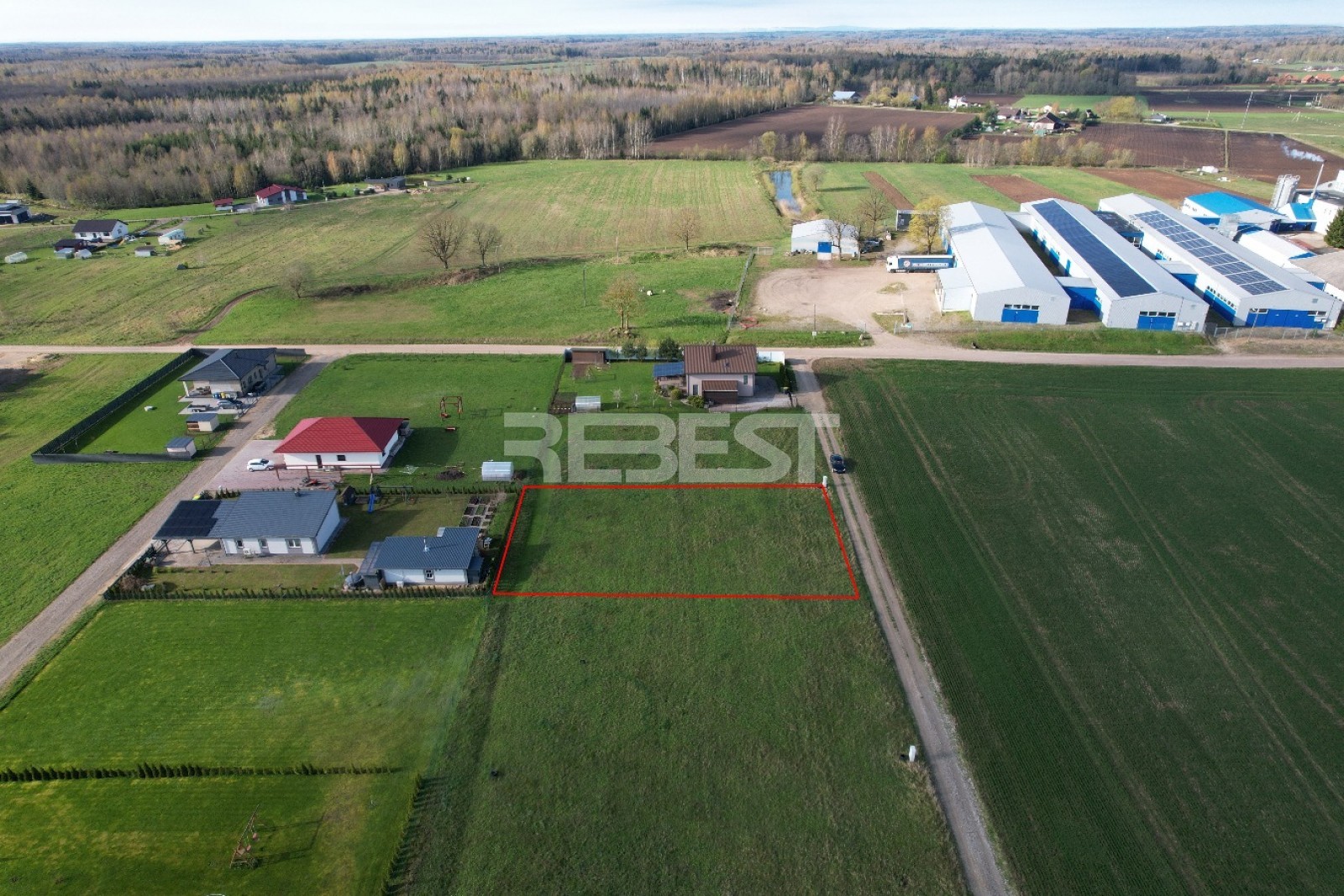 DJI_0555