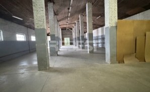 IMG_0587