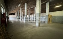 IMG_0584