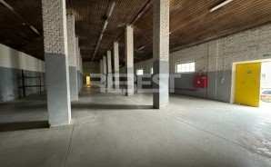 IMG_0561