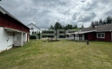 IMG_1399