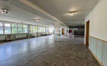 IMG_4602