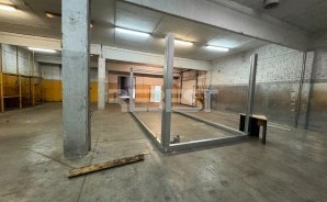 IMG_0555