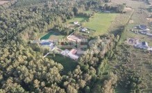 DJI_0061