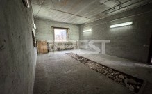 IMG_3574