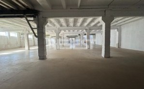 IMG_4634