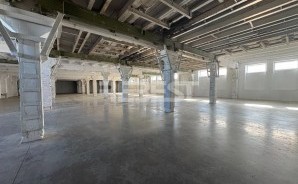 IMG_4619