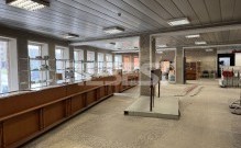 IMG_8646