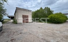 IMG_5256