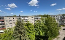 IMG_5395