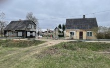 IMG_7981