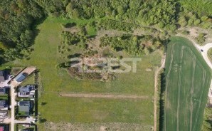 DJI_0746