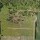 DJI_0746