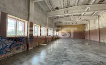 IMG_5655