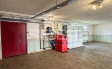 IMG_4742