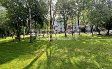 IMG_9850