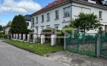 IMG_0241