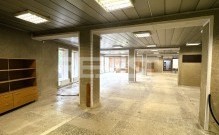 IMG_0465