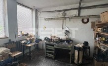 IMG_5923