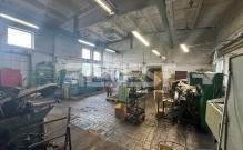 IMG_5921