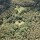 DJI_0791