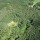 DJI_0792