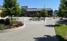 IMG_0650