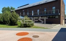 IMG_0655