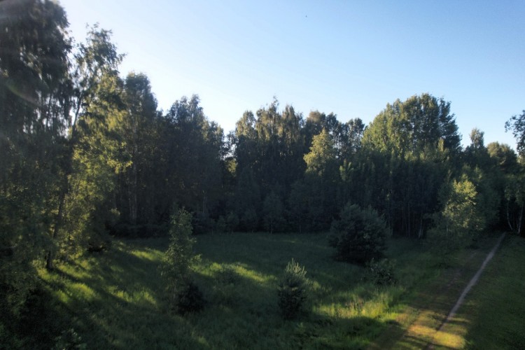 DJI_0859